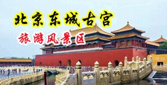 操女人鸡吧中国北京-东城古宫旅游风景区